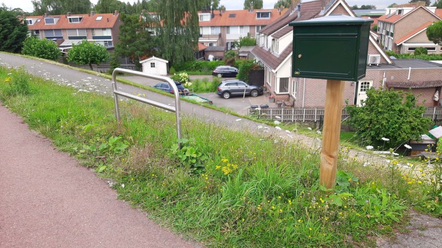 Fietsnietje op de Lekdijk in de Krimpenerwaard